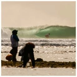 Ailerons Surf Fcs Fcs II Deus Modern Keel Pg 9 Ailerons Surf Fcs Fcs II Deus Modern Keel Pg -Glisse Proshop Ventes 5573aa1f4b158e13946ded83f07663d318ef29da E23FCSEWAT399317 901